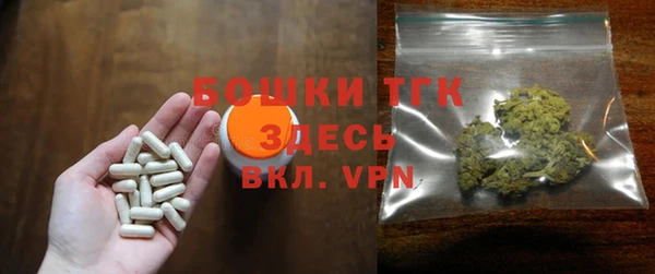 крисы Верхний Тагил