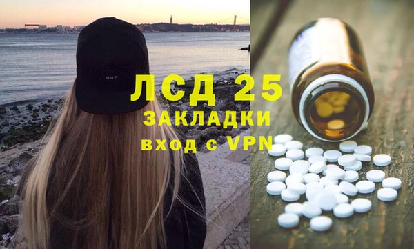 крисы Верхний Тагил