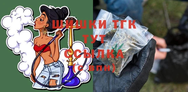 крисы Верхний Тагил