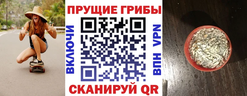 Купить  Котовск  Псилоцибиновые грибы GOLDEN TEACHER 